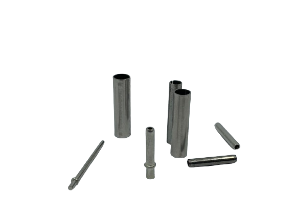 Niplex chiodini spine